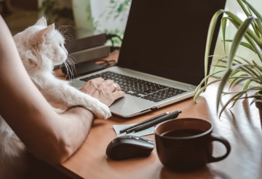 Man werkt vanuit huis met zijn aan zijn moderne werkplek